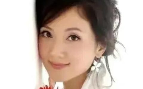 歌手张燕(张燕事件完整版)