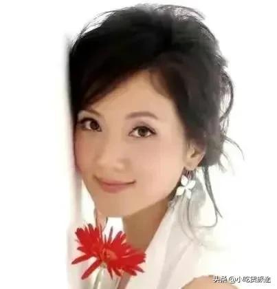 歌手张燕(张燕事件完整版)插图