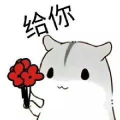 爱思英语学习网(每日英语爱思英语)插图