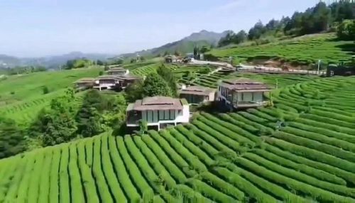贵州好喝奶茶排名前十(贵州小吃)插图20