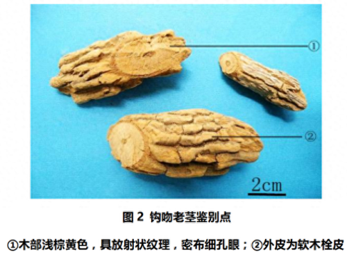 毒米线(毒面筋毒米线新闻)插图4