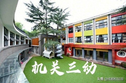成都幼儿园中小学排名前十(成都高新区小学前30名排名)插图8