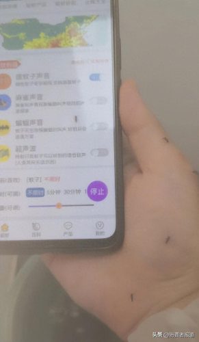 中国蚊香排名前十(目前口碑最好的蚊香)插图6