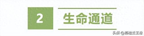 盐城水域排名前十(盐城市省内排名)插图19