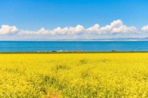 海南避暑排名前十(海南特色小吃排名前十)插图28