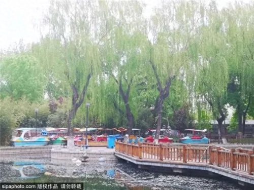 北京西城免费公园排名前十(北京最好免费公园)插图20