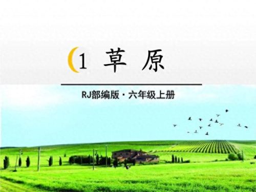 陈怎么组词(陈的四字成语)插图