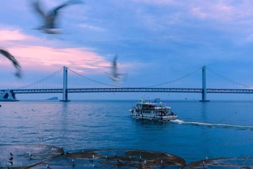 大连海岛旅游排名前十(大连海岛民宿推荐)插图7
