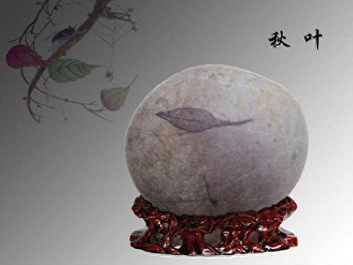 秋天的石头(秋天石头图片大全)插图21