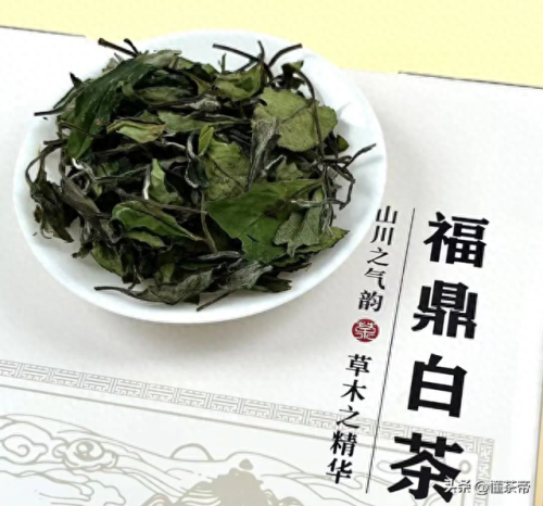 茶叶企业排名前十(茶叶品位排名一览表)插图5
