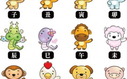 印度生肖排名前十(世界各地最好的生肖)