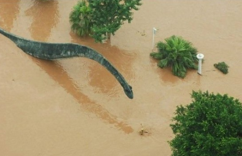浙江余姚水灾(13年余姚水灾死伤多少人)插图4