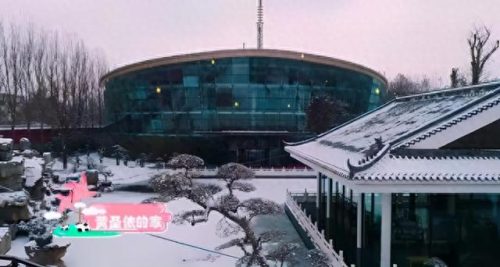 杨子是谁(杨子黄圣依)插图10