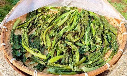 花椰菜吃的是什么部位(吃花椰菜主要吃哪个部分)插图3