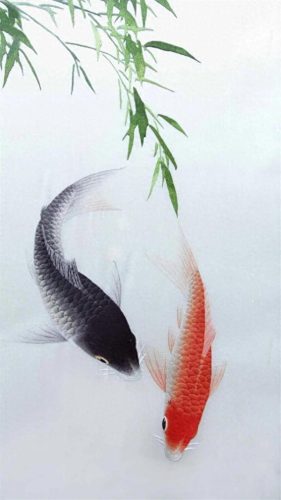 鱼鱼桌面秀(鱼鱼桌面秀侧边栏)插图125