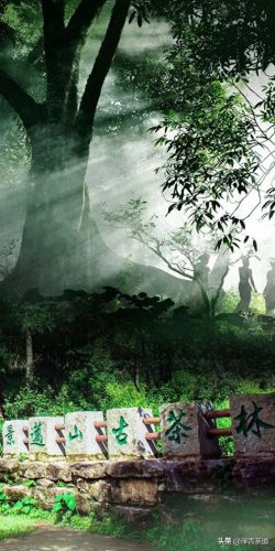 中国文化贸易产品排名前十(中国文化产品排行榜)插图30