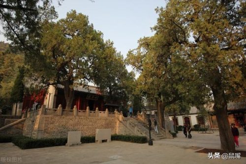 沦落是什么意思(堕落是什么意思)插图2