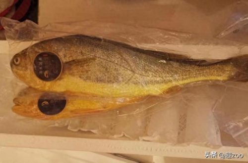 海鲜水产排名前十(海鲜水产十大品牌)插图