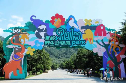 西安游玩景点排名前十(西安30个免费景点)插图4