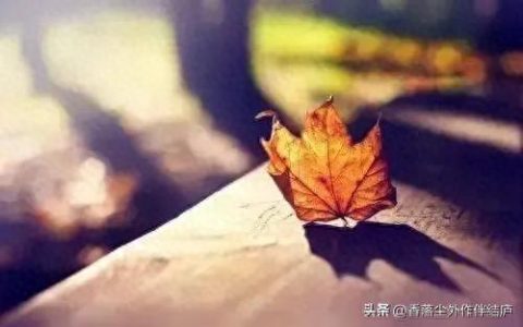 诺言作品(诺言的小说)