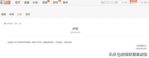 卢本伟 焦点访谈(卢本伟焦点访谈完整版)插图2