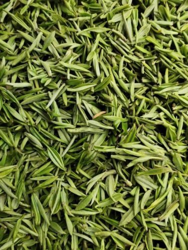 古代茶叶价格排名前十(吴印之家茶叶价格)插图6