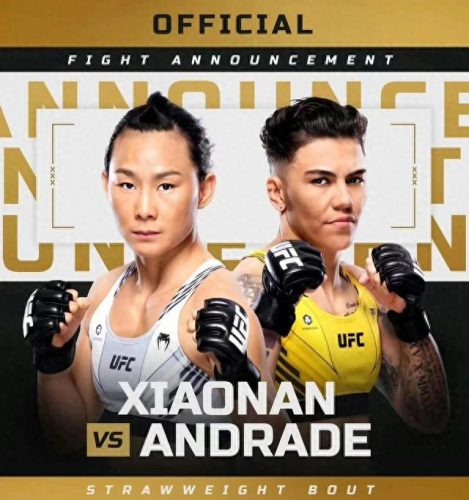 中国ufc 排名前十(最新中国ufc排名)插图3