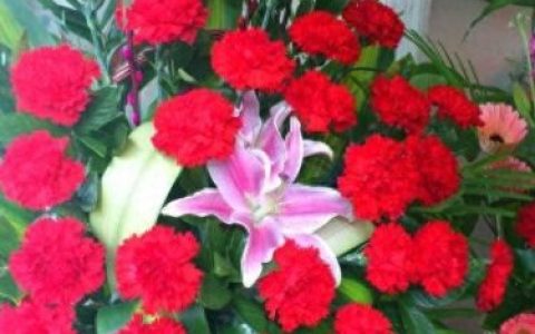 母亲节百科(农历6月6日是中国人的母亲节吗)