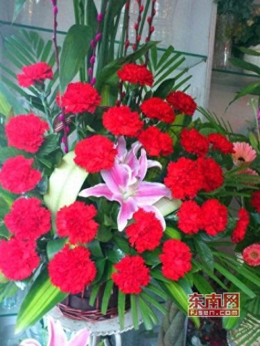 母亲节百科(农历6月6日是中国人的母亲节吗)插图