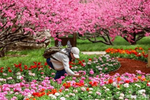 排名前十火的景点(新余景点排名前十)插图2