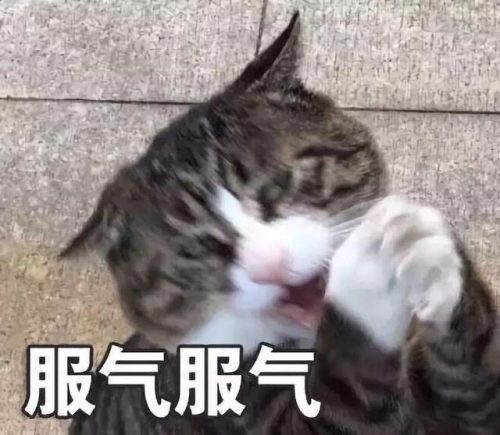 明星算卦大神排名前十(民间算卦大神排名前十是谁)插图18