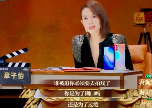 章子怡诈捐门(章子怡)插图10