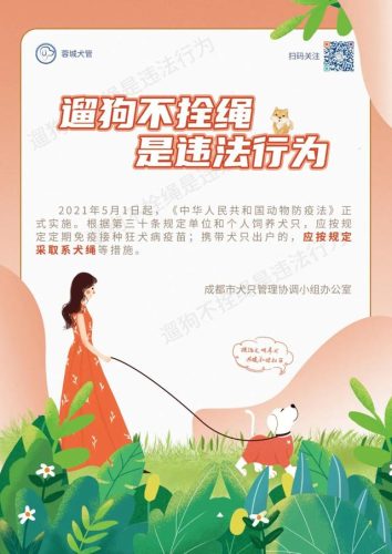 比特斗牛梗犬(斗牛犬)插图3