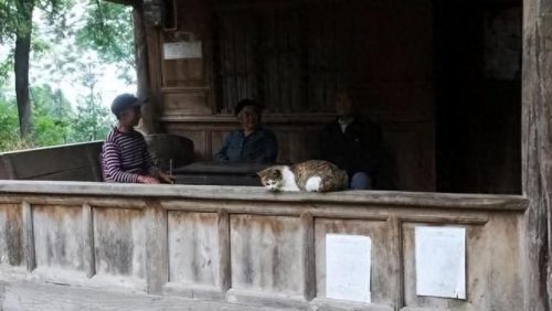 广元乡村旅游排名前十(广元宝轮镇全国排名)插图7
