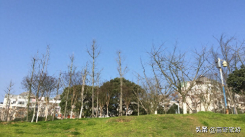 鹰潭景区排名前十(鹰潭景点大全景点排名)插图3