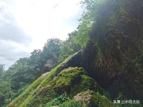 汪昱妻子(合肥汪昱夫妇图片)插图12