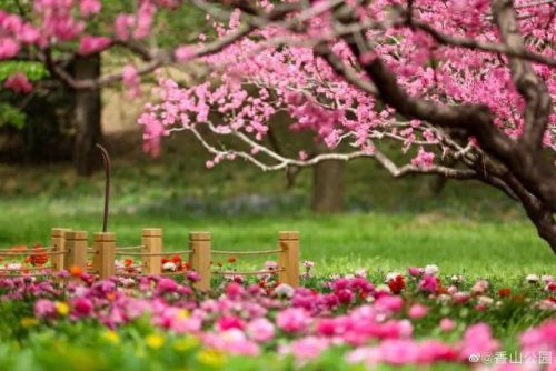排名前十火的景点(新余景点排名前十)插图3
