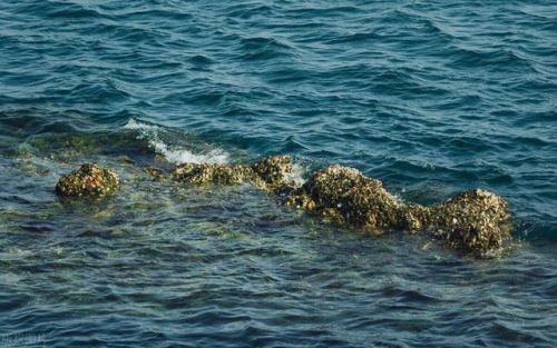 大连海岛旅游排名前十(大连海岛民宿推荐)插图16