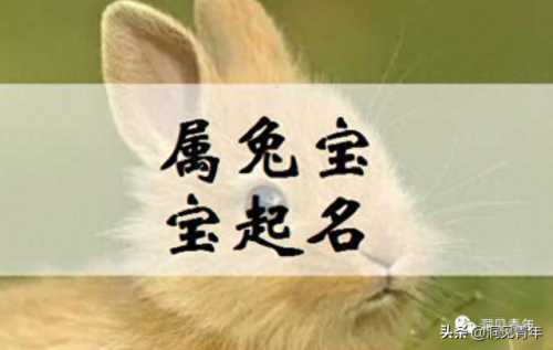 子姓排名前十(子姓怎么演变的)插图