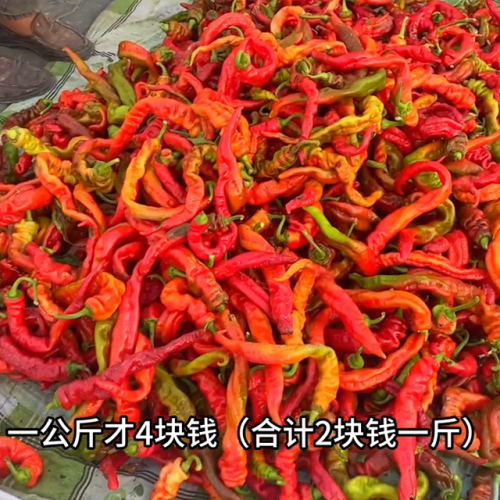 新疆市场物价排名前十(新疆南北疆物价对比)插图