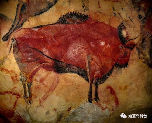地动山摇代表什么生肖(地动山摇打一个数字)插图2