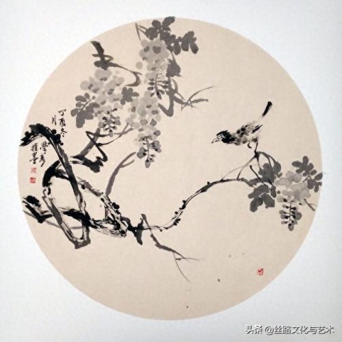 白腹凯克鹦鹉(凯克多少钱一只)插图16