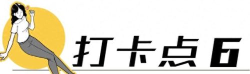 荷兰旅游排名前十(荷兰花海)插图34