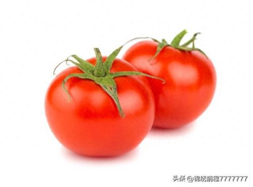 凉性蔬菜排名前十(膳食纤维高的蔬菜排名)插图8