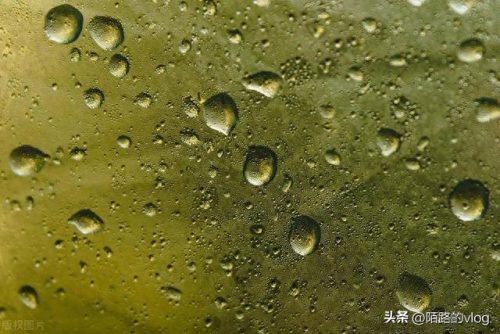 建筑防水材料厂家排名前十(工程防水材料品牌大全)插图2