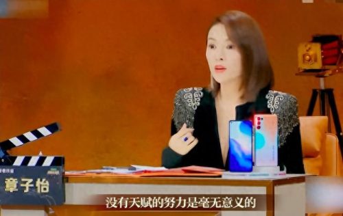 章子怡诈捐门(章子怡)插图25