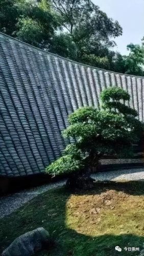 成都禅意名宿排名前十(普陀山禅意名宿)插图17