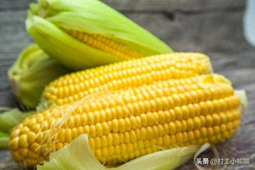 玉米加工排名前十(玉米哪个加工厂最好)插图2