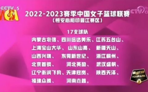 河南业余女篮排名前十(河南女篮最新战况)