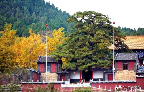 淄博道教景点排名前十(淄博市最灵的道观)插图8